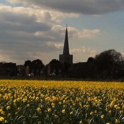 Profile Picture of Andrew Brice (@andrew_brice) on Twitter