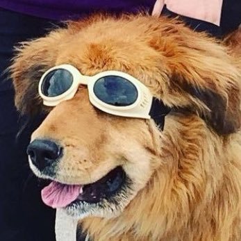 Profile Picture of Marc Morvan  🇨🇦 (@MarcMorvan) on Twitter