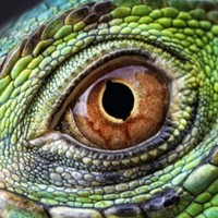 Profile Picture of Paul Farwell (@paul-farwell-1) on Quora