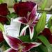 Profile Picture of Ericka Springstead (@erickaspring) on Pinterest