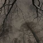 Profile Picture of erichin_erichin (@erichin_erichin) on Instagram