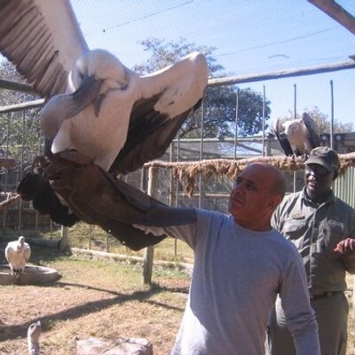 Profile Picture of David Sofer (@david_sofer) on Twitter