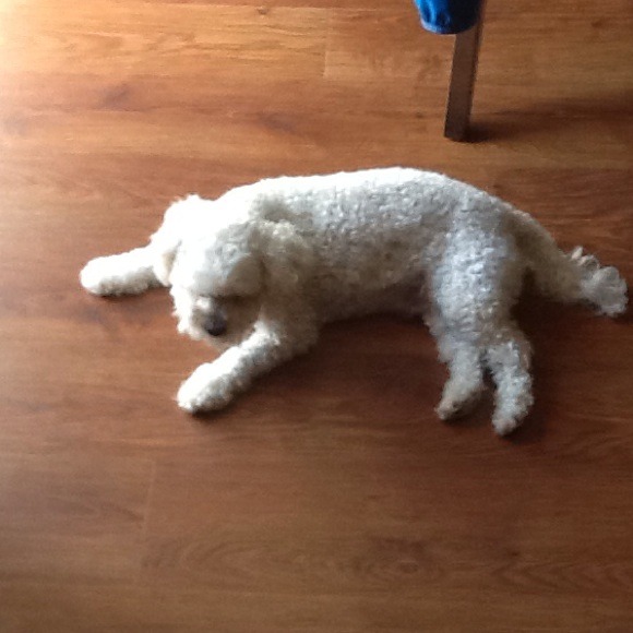 Profile Picture of Val Destito (@destval) on Poshmark