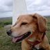 Profile Picture of Jean Frazer (@jean.frazer.718) on Facebook