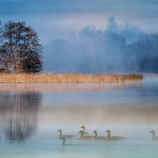 Profile Picture of Glenn Rohr (@glennrohr) on Instagram