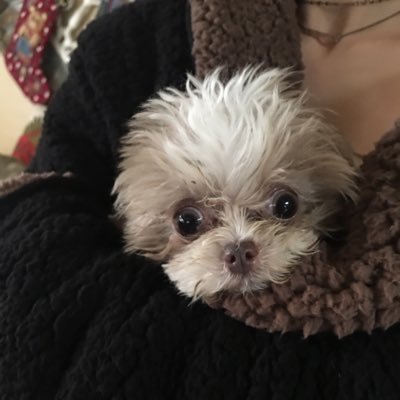 Profile Picture of Tami Wilcox (@TamiWilcox15) on Twitter