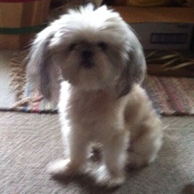 Profile Picture of Sissy Case (@CaseKen) on Twitter