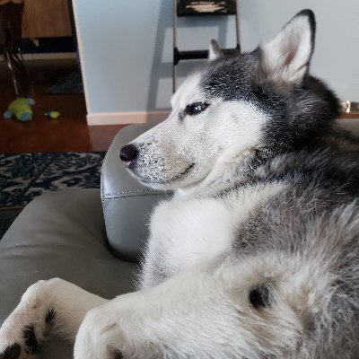 Profile Picture of Josh Craver (@JoshCraver2) on Twitter