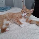 Profile Picture of Rowan Grant (@rowangrant01) on Instagram