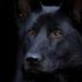 Profile Picture of Toby Painter (@04ug2uddcdb01xl) on Pinterest
