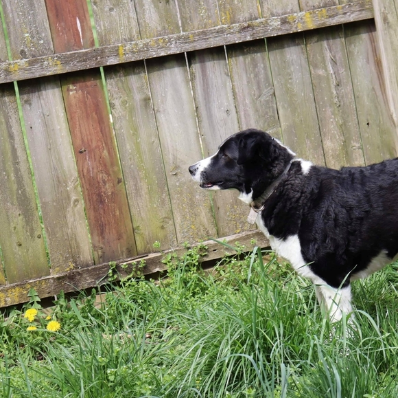 Profile Picture of Dustin Weber (@hippiedeals) on Poshmark