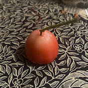 Profile Picture of Owen Stark (@mrman90045) on Youtube