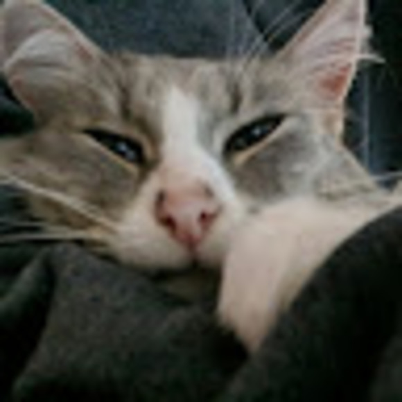 Profile Picture of Jacob Greco (@jacobgreco520) on Poshmark