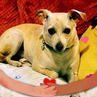 Profile Picture of Debra Baldwin (@debra-baldwin-13) on Quora