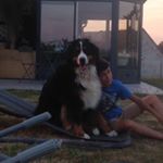 Profile Picture of Paul Rousseau (@paul_rousseau0708) on Instagram