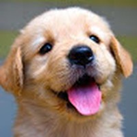 Profile Picture of Betsy Schroeder (@betsy-schroeder-5) on Quora