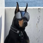 Profile Picture of Andrew Altair (@andr3waltair) on Facebook