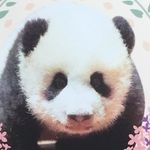 Profile Picture of Rieko.Doi (@fujiringo0819) on Instagram