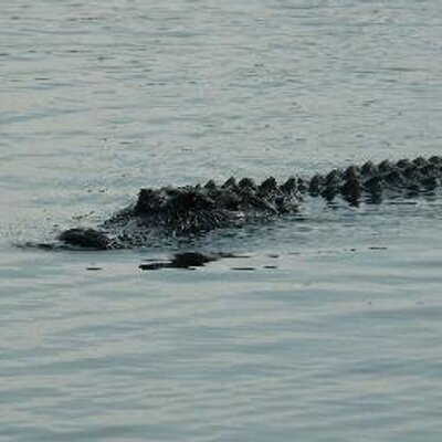 Profile Picture of Jeffrey Wickliffe (@jwickliffe) on Twitter