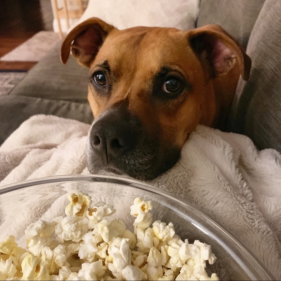 Profile Picture of M Silveira (@msilveira813) on Poshmark