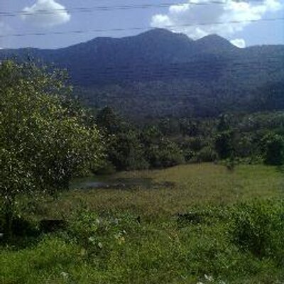 Profile Picture of Smitha K Menon (@smithakmenon) on Twitter