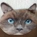 Profile Picture of Karen Cooley (@karen.cooley.94617) on Facebook