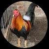 Profile Picture of Octavio Estrada (@octavioestrada691) on Tiktok