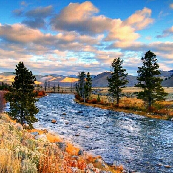 Profile Picture of Denise Prokop (@mermaidware) on Poshmark