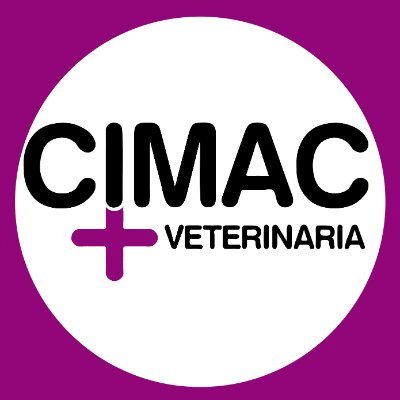 Profile Picture of Cimac_brendadipietro_c6t2b (@CimacDiPietroC6) on Twitter