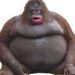 Profile Picture of Colin Carpenter (@25colincar) on Pinterest