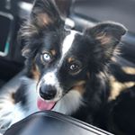 Profile Picture of Dustin Nye (@dnye0808) on Instagram