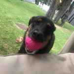 Profile Picture of Marc Liebmann (@marc_notvirusspreading) on Instagram