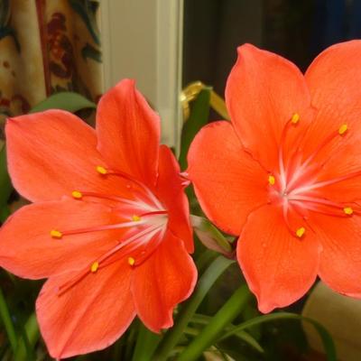 Profile Picture of AmandaDyer (@AmandaDyer222) on Twitter