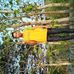 Profile Picture of Howard Grahamkf (@howard.grahamkf) on Facebook