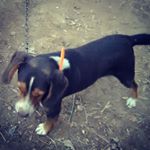 Profile Picture of Jacob Swords (@jacob.swords_33) on Instagram