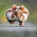 Profile Picture of Hans Abott (@hans.abott.94) on Facebook