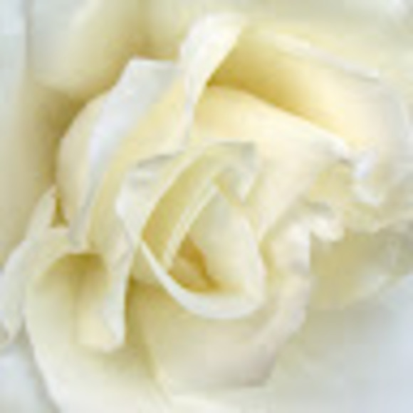 Profile Picture of Bettie jean Prayer (@bprayer77) on Poshmark