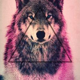 Profile Picture of Malachi Watson (@Malachiwatson13) on Twitter