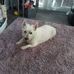 Profile Picture of Sue Roberts (@sue.roberts.7737769) on Facebook