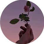 Profile Picture of Alex 💖 (@stories.byalex) on Instagram