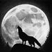 Profile Picture of Sheldon Hess (@shledonhess) on Pinterest