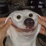 Profile Picture of Steven Quill (@steven_quill) on Instagram
