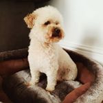 Profile Picture of Loren Bennett (@loren_lbennett) on Instagram