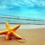Profile Picture of Amanda Shea Carr Barrett (@harmony_spa_and_salon) on Instagram