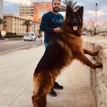 Profile Picture of Mohamed Ayad (@ayad._m) on Instagram