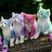 Profile Picture of Ava Tolbert (@2028avatolbert) on Pinterest