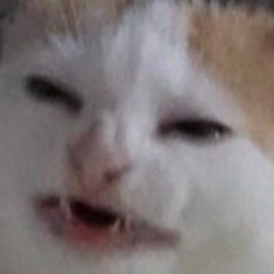 Profile Picture of Luke Reed Merrill (@Bonesbergade100) on Twitter