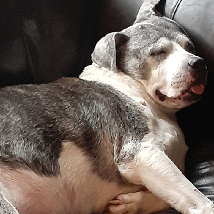 Profile Picture of Gail Clark Combs (@@gailclarkcombs) on Tiktok