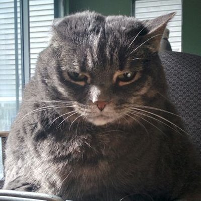 Profile Picture of Lucifer Morningstar (@Steven__Nicol) on Twitter