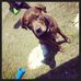 Profile Picture of Sherry Simons (@sherry.simons.1) on Facebook